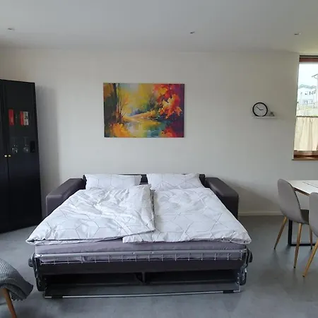 Moselnest -brauneberg - Freistehend - Klimatisiert Casa vacanze Brauneberg